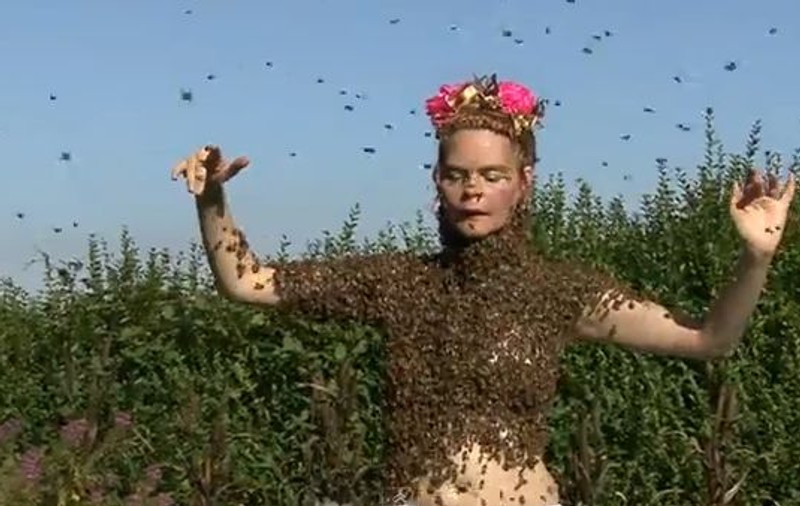 DANSEAZĂ cu 12.000 de ALBINE peste PIEPTUL GOL, iar lumea este TERIFIATĂ de CURAJUL EI | VIDEO
