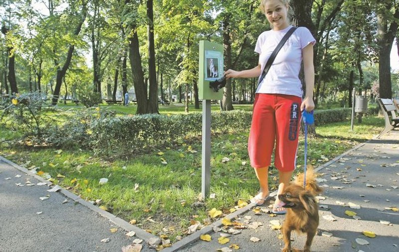 Amendă de până la 1.000 de lei dacă nu strângeţi mizeria după câine