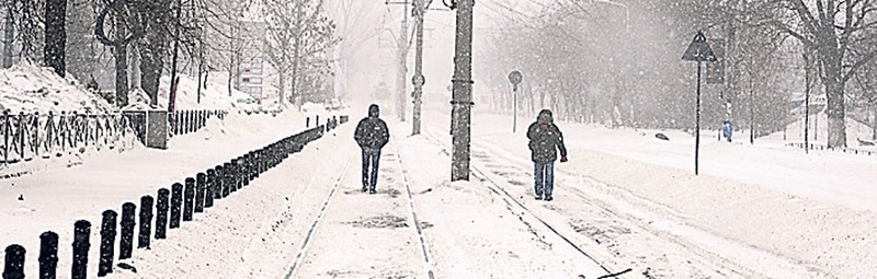 Arhiva foto