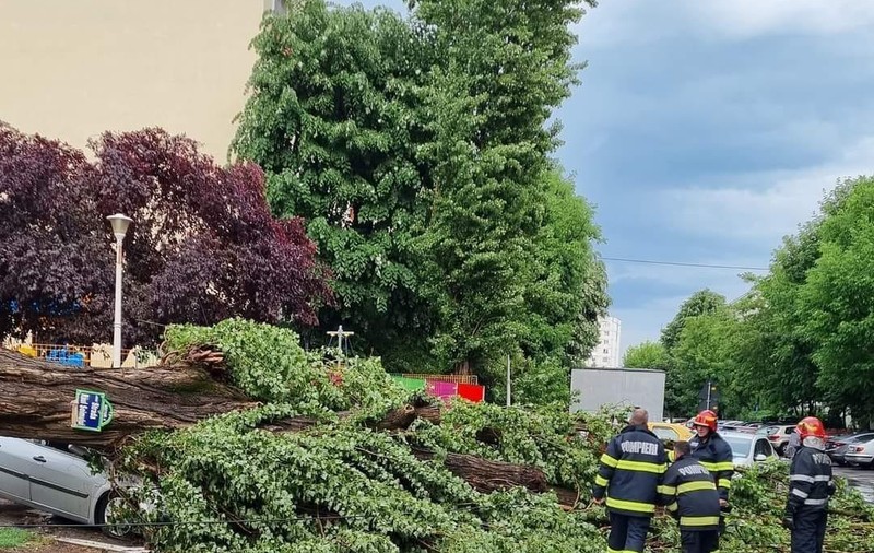 Probleme în București, după ploile torențiale. Străzi inundate, copaci doborâți și mașini distruse