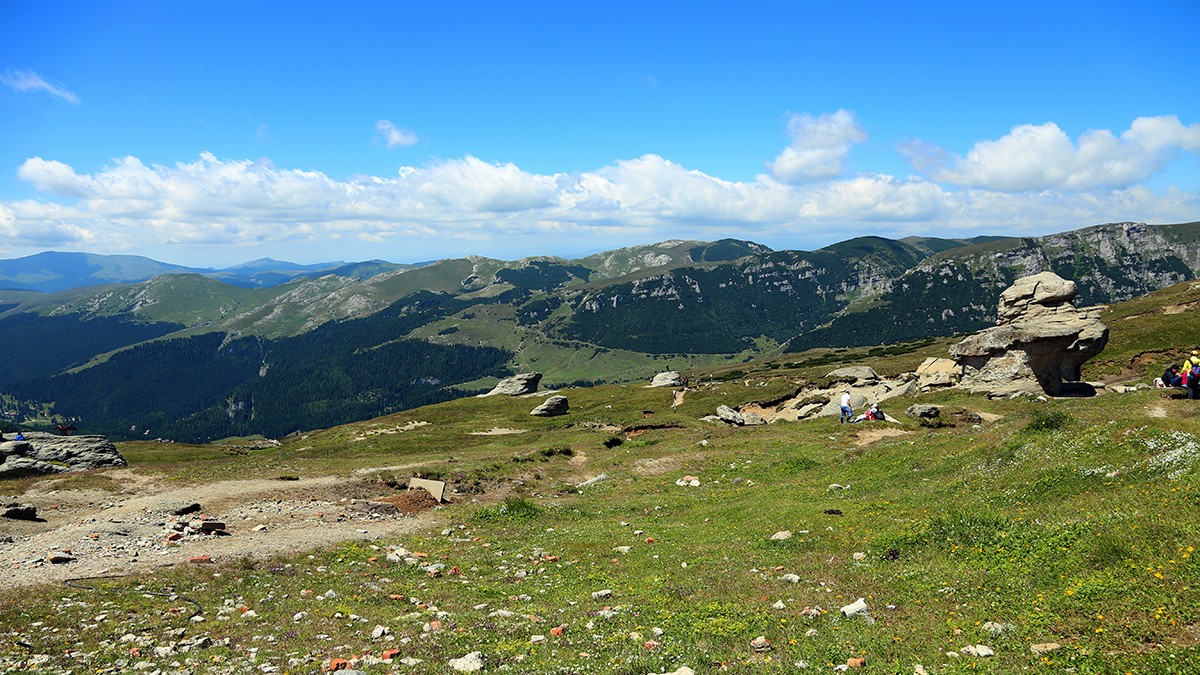 Arhiva foto