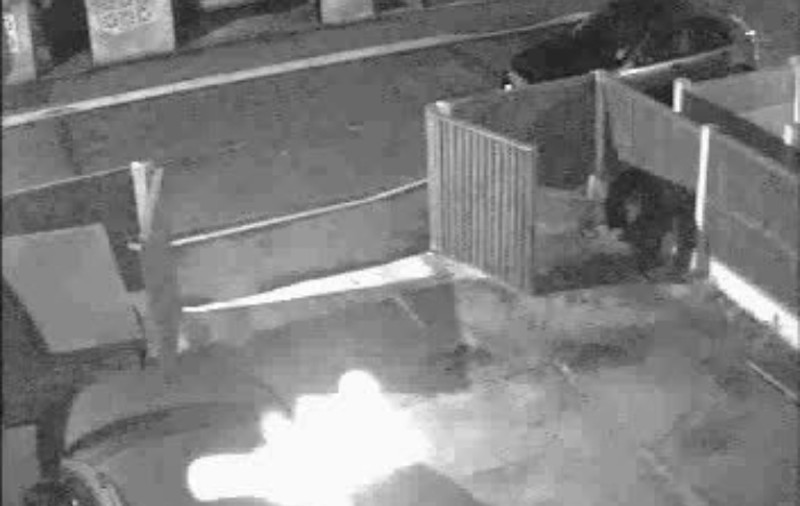 APARIŢIA MISTERIOASĂ suprinsă de camerele de supraveghere. "E FANTOMA unui COPIL la noi în curte!" 