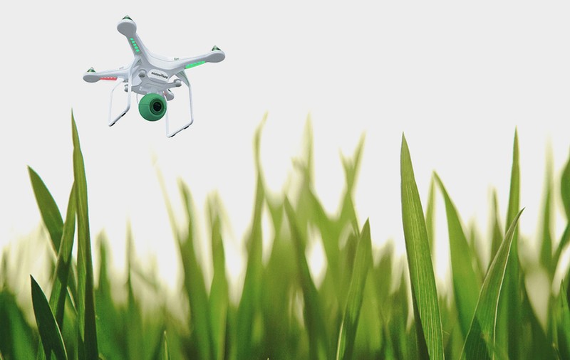Olandezii dezvoltă o flotă de drone care adună excrementele de câine