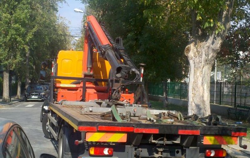 Uite-i pe ”hingherii de maşini” cum stau la vănătoare