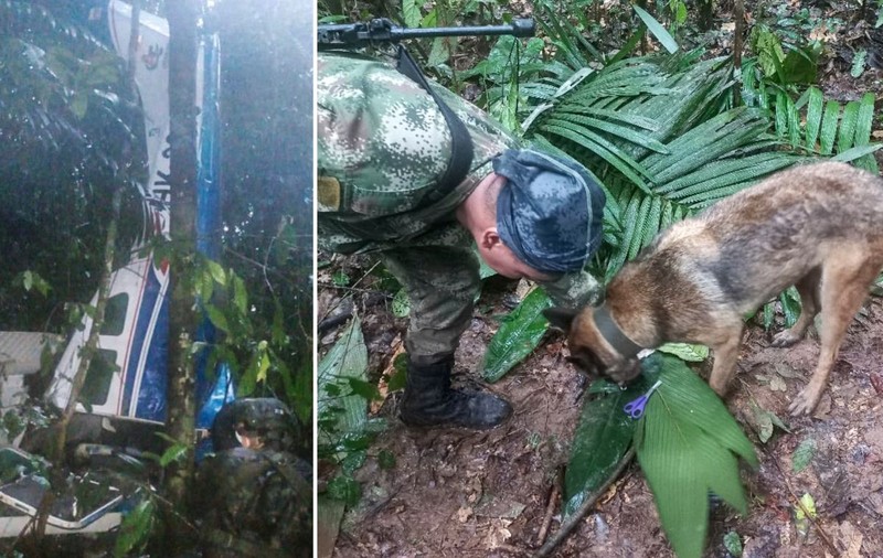 Cei patru copii din avionul prăbușit acum 17 zile în jungla din Columbia, găsiți în viață, anunță președintele țării. A șters apoi mesajul