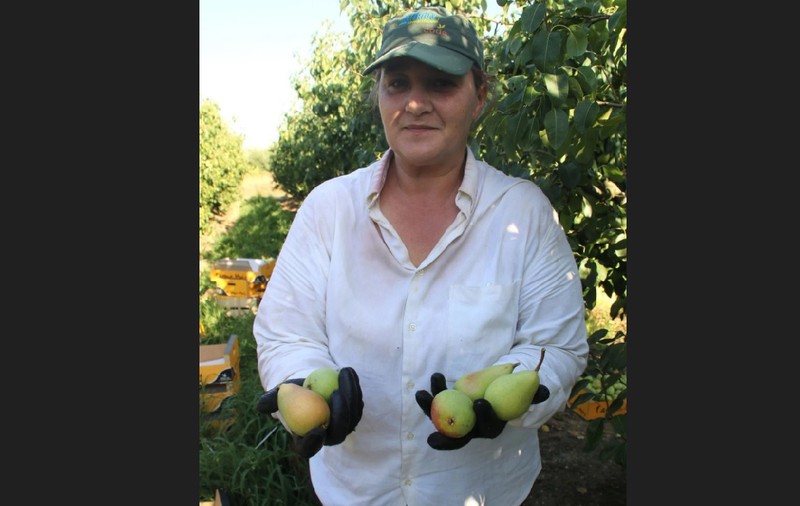 O româncă a renunțat să fie contabilă într-un spital din România și lucrează acum în agricultură în Spania: „Nu am de gând să mă întorc”