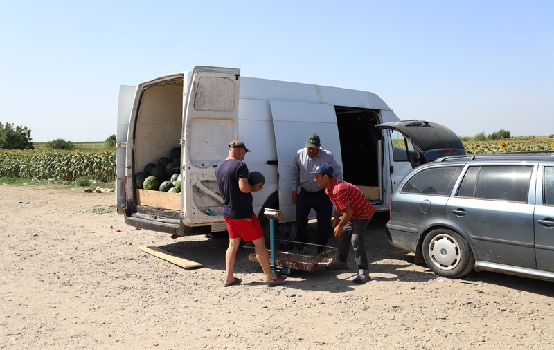 REPORTAJ. Furie în piața de legume din Glodeanu Sărat, Buzău. Lăsați la mâna samsarilor, producătorii locali își anunță abandonul: „Să pună Guvernul roșii!” 