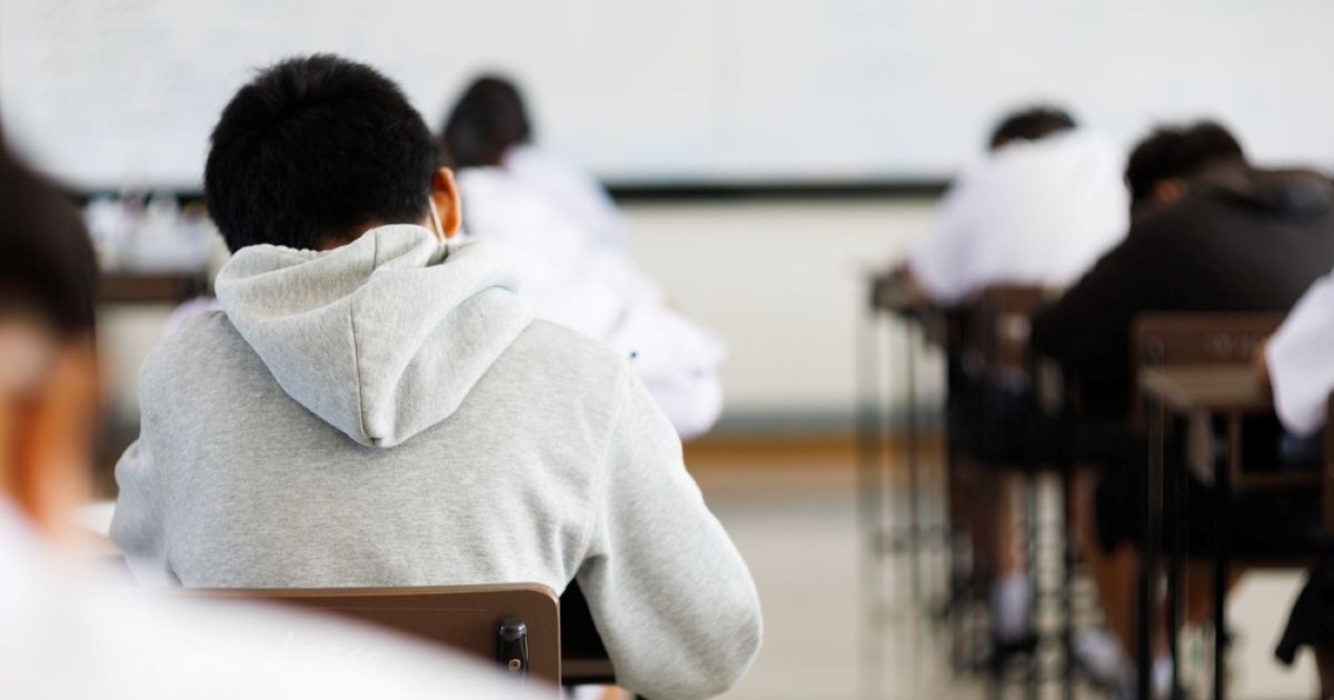 Modele de subiecte la Simularea Evaluării Naționale la Limba și literatura maternă 2026 - Foto Shutterstock.com