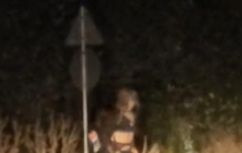O femeie misterioasă, văzută în toiul nopții pe centura unei localități din Cluj, de negăsit. Un șofer a alertat Poliția după ce a vorbit cu ea