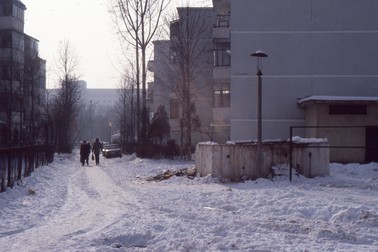 Aleea din Iaşi unde îşi avea David apartamentul (Foto: © David Hadaller, arhivă personală)