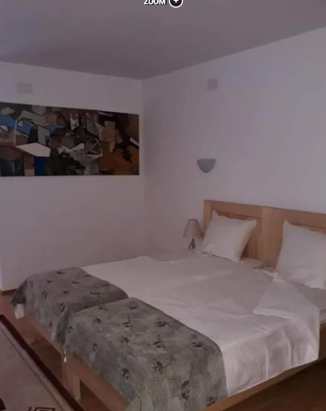 Cât costă o noapte de cazare la pensiunea Monicăi Anghel, în perioada sărbătorilor de iarnă. Imagini cu conacul de la Berevoiești