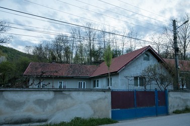 Sătenii din Densuș au la poartă de 1 mai un mesteacăn tânăr, simbol al primăverii adevărate și al reînnoirii Foto: Vlad Chirea