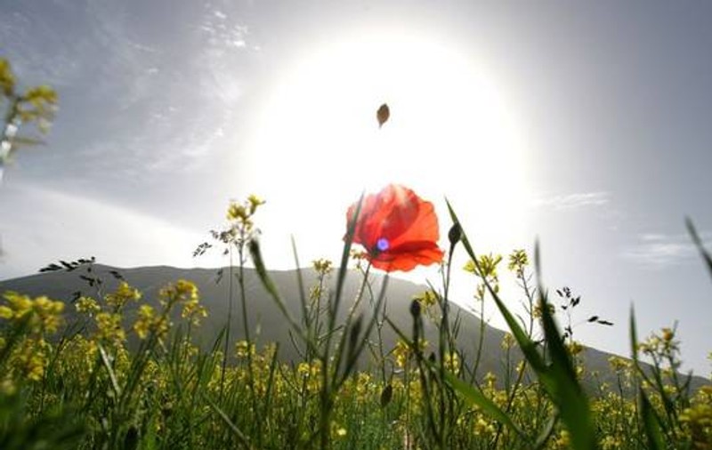 Săptămâna următoare vom avea temperaturi de vară, însă în weekend va ploua