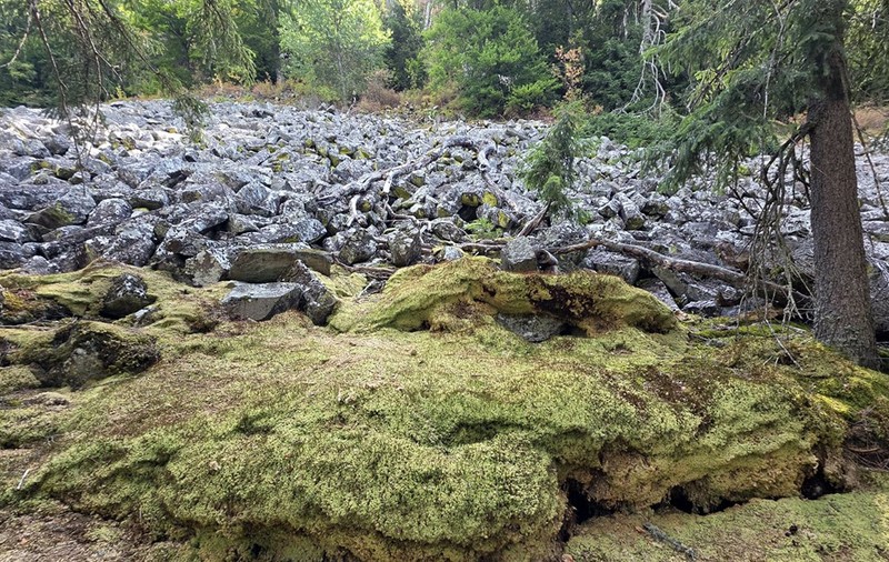 Permafrost Apuseni