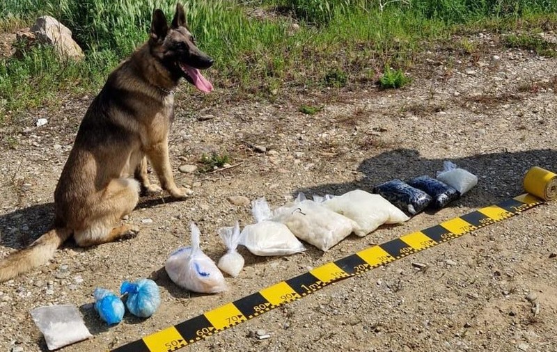 O grupare din Oradea ascundea droguri în pădure și pe malul apelor, și trimitea apoi coordonatele GPS cumpărătorilor