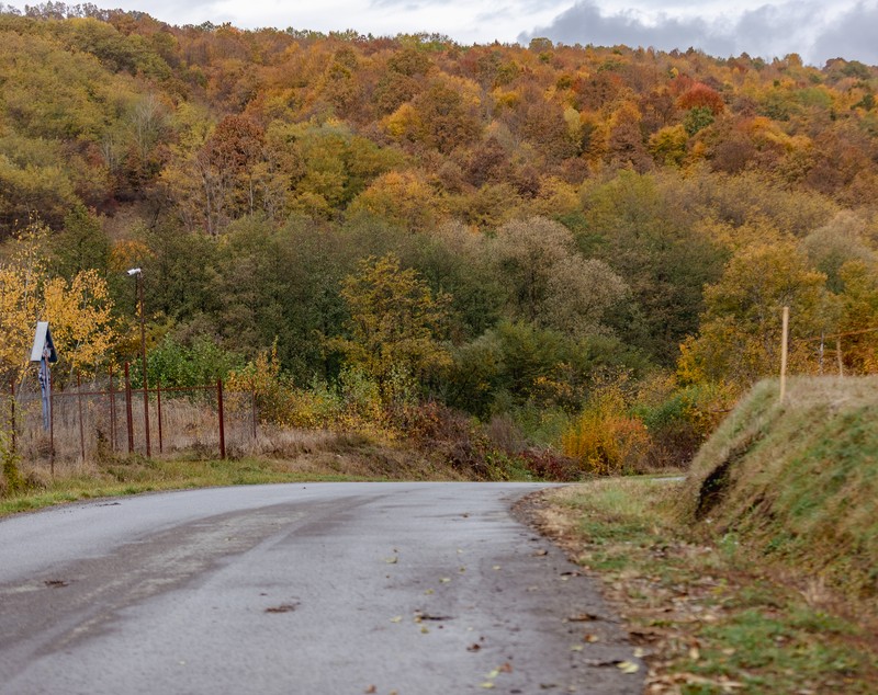 REPORTAJ. Într-un sat din Mureș, un tânăr fierbe de 11 ani dulcețuri și zacuscă la ceaun. Acum vrea să ridice o fabrică și să le arate localnicilor că și aici se poate: „Fiecare trebuie să-și găsească Idicelul lui!”