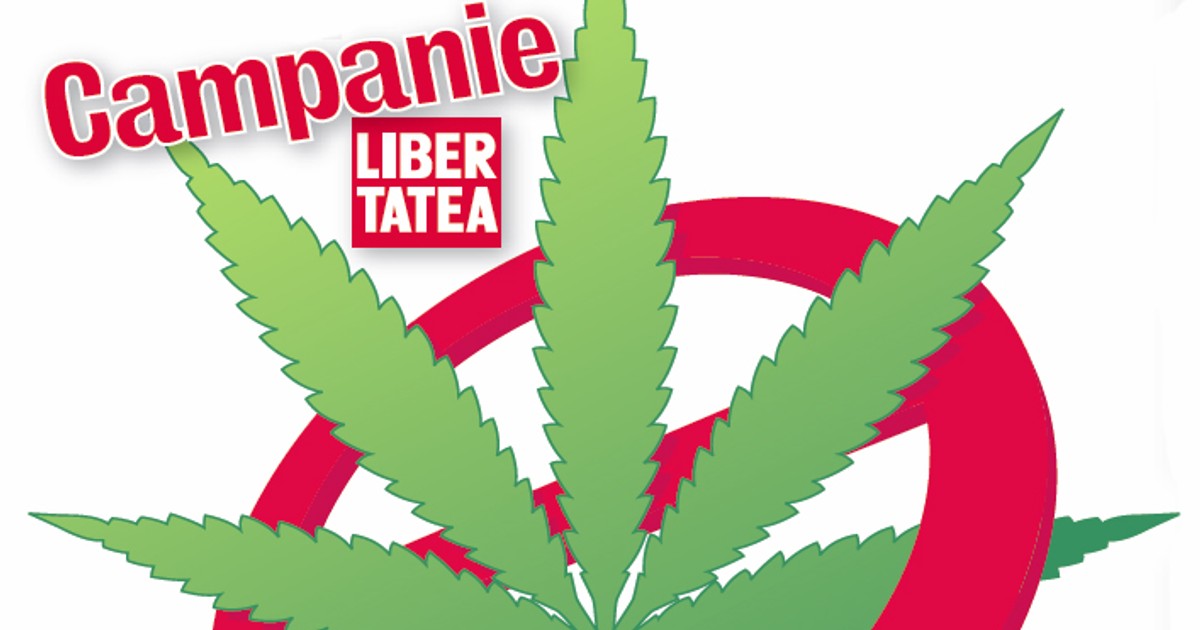 Consumul de etnobotanice, un fenomen ingrijorator la Buzau