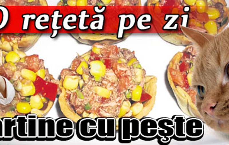 O reţetă pe zi | Tartine cu peşte