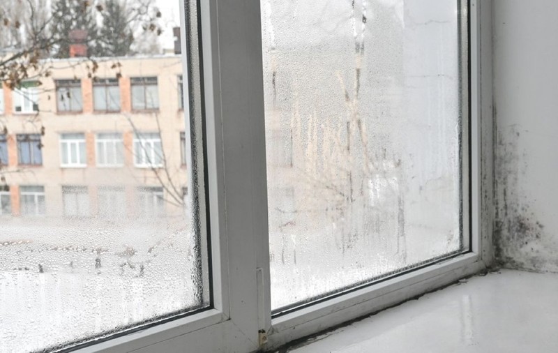 Ce se întâmplă dacă apare mucegai în casă și îl ignori