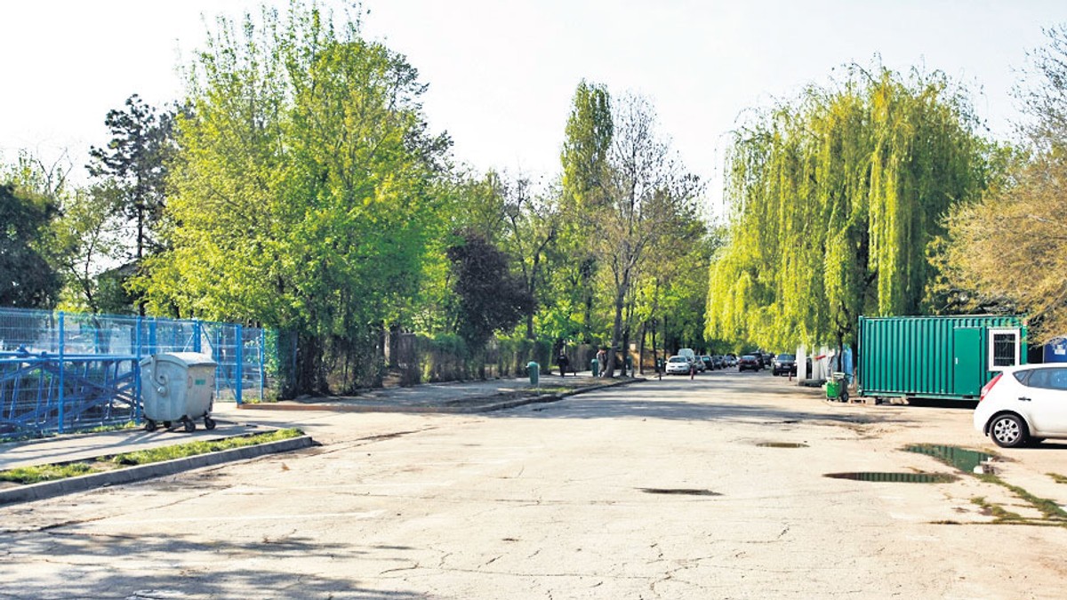 Arhiva foto