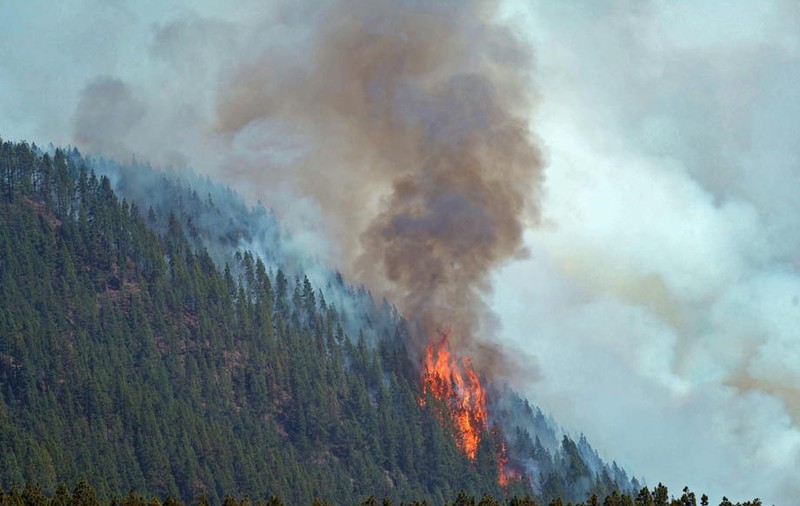 Incendiile forestiere continuă să ardă în Franța și Spania. 58 de focare semnalate și în Grecia, în ultimele 24 de ore