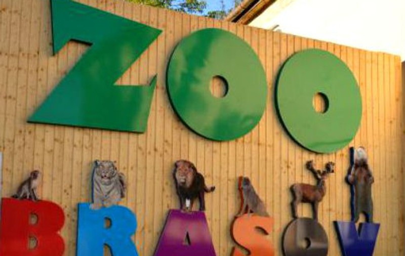 Doi îngrijitori de la ZOO Brașov au fost atacaţi de un urs. A fost deschis dosar penal