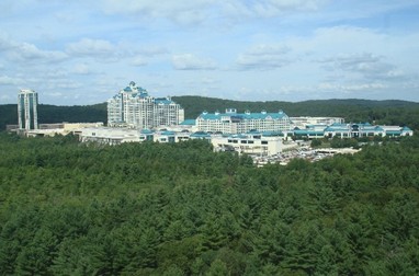 Arhiva foto