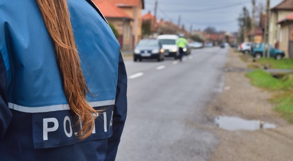 Mai multe autoturisme oprite pe margine unui drum dintr-un sat, sunt verificate de un polițist. În același timp, o polițistă dirijează circulația