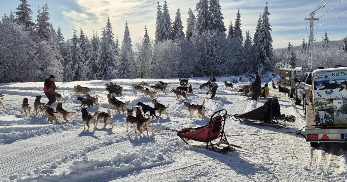 excursie-husky-harghita