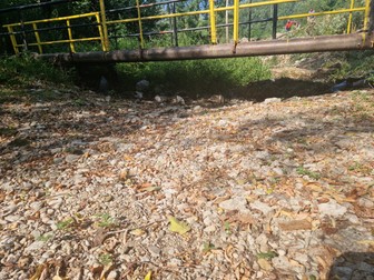 Arhiva foto