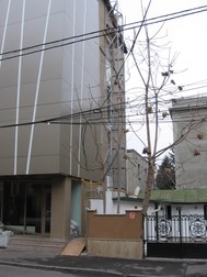 Așa arată nerespectarea regimului de înălțime pe strada Tudor Ștefan