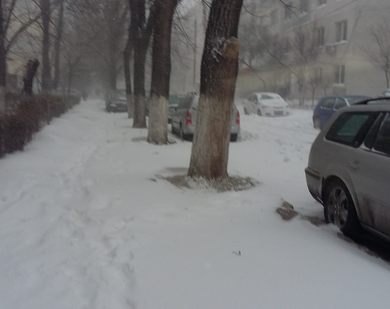 Cod galben în 14 judeţe. Codul roşu a blocat jumătate de țară sub nămeți | FOTO&VIDEO