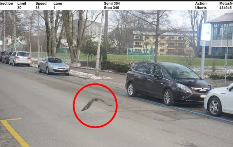 Ce a surprins un aparat radar amplasat de poliție la Zürich: „Permisul ar trebui revocat imediat!”