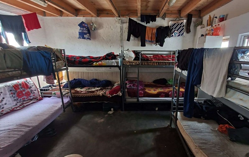 Peste 50 de români, găsiți „într-o situație degradantă” și bătuți de șeful de echipă, la o fermă din Olanda