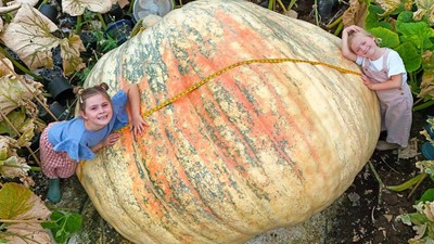 Cel mai mare și mai lung dovleac din lume octombrie 2025