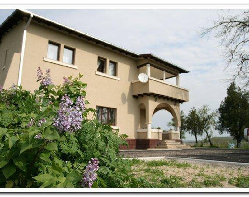 Costel din serialul "La Bloc" își vinde conacul. Cum arată palatul de 200.000 de euro al lui Dragoș Moștenescu | FOTO