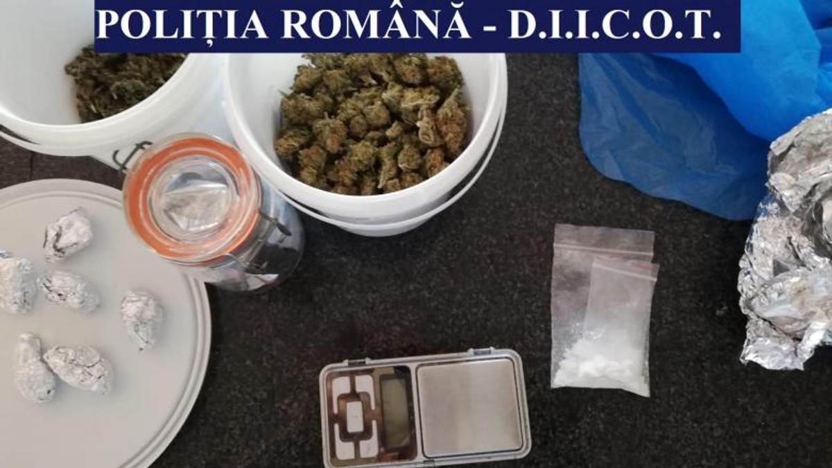 Droguri confiscate înainte de a ajunge la Neversea