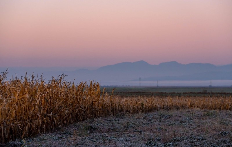 A fost înregistrată cea mai scăzută temperatură din țară, la Miercurea Ciuc