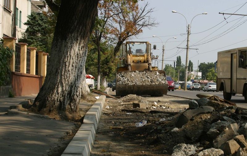 „Borduriada" a pregătit copacii pentru dezastrul din Bucureşti 