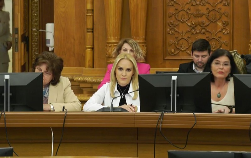 Unei deputate USR i-a fost tăiat microfonul la audieri, în timp ce o întreba pe Firea despre cazurile publice de acuzații de hărțuire din PSD