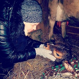 Maria Constantin a ajuns moașă la fermă. "A venit pe lume Zambilica"