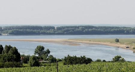 Arhiva foto