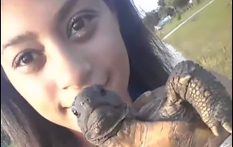 Imaginile au ajuns pe net! Ce face această tânără cu o broască ţestoasă găsită pe stradă | VIDEO