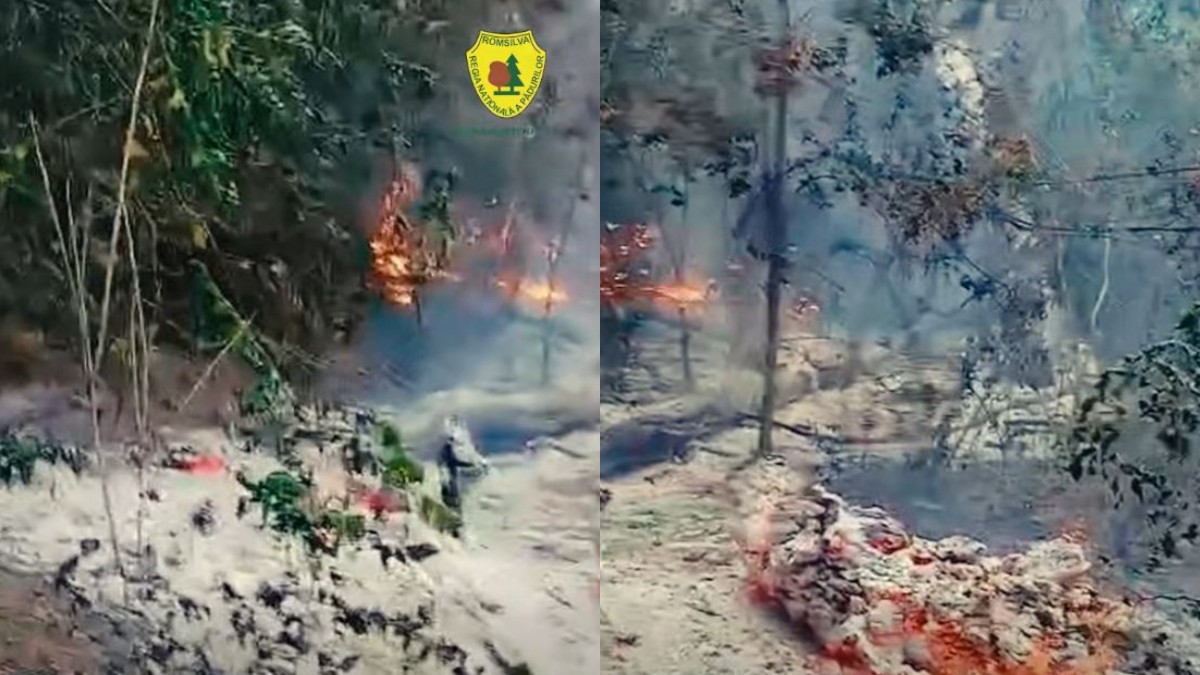 Un colaj format din două fotografii cu un incendiu de vegetație
