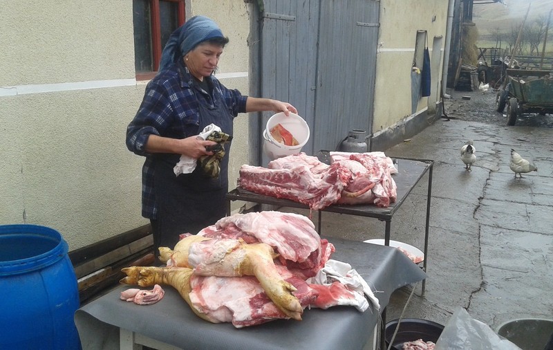 Tradiții bizare de Ignat: preoţii romani ghiceau viitorul în măruntaiele porcului