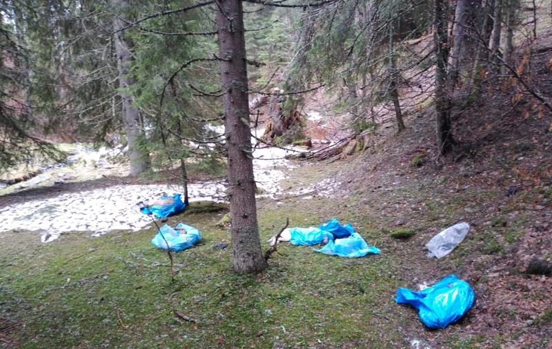 Zeci de câini, uciși și abandonați în saci în Parcul Național Retezat. Poliția a demarat o anchetă