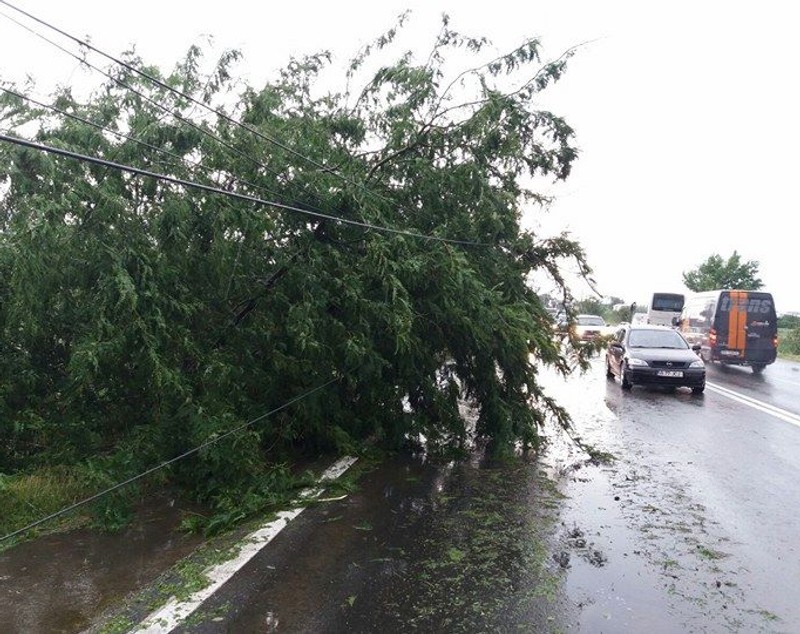 Minivacanța de Rusalii aduce probleme în trafic. Coloane de mașini pe DN1, aglomerație în Vama Giurgiu