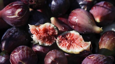 Harvesting Figs In Sochi