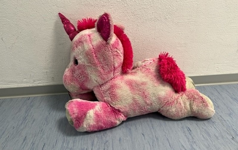 Poliția germană, după ce a găsit o jucărie de pluș pe mijlocul autostrăzii: „Acest unicorn trist își caută proprietarul”