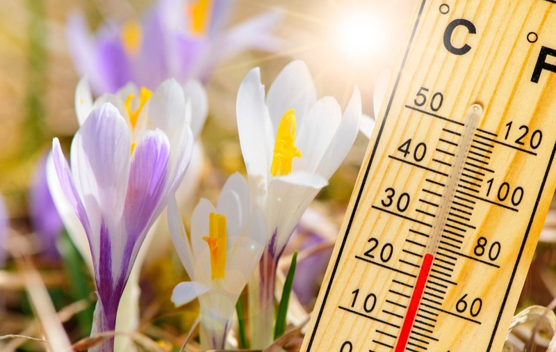 Cum va fi vremea mâine. Prognoza meteo pentru marți, 25 martie 2025